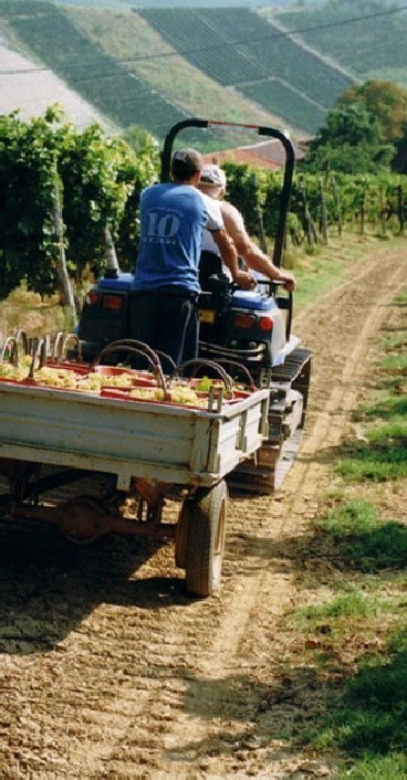 La Nostra Azienda