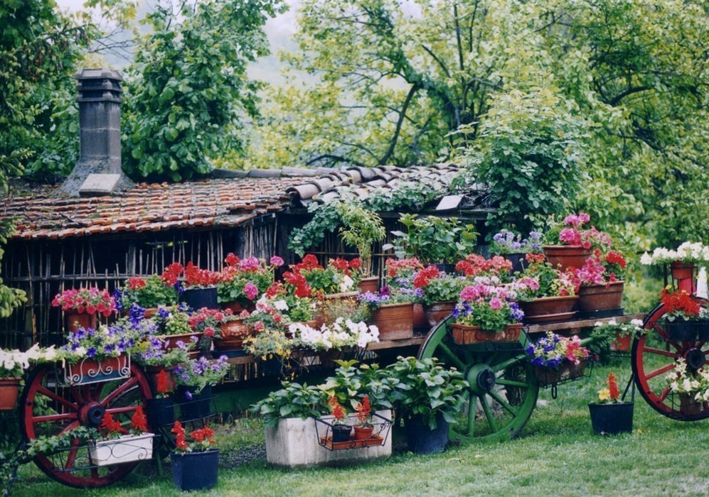 BED & BREAKFAST 02