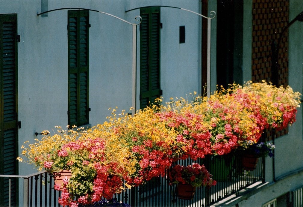 BED & BREAKFAST 06